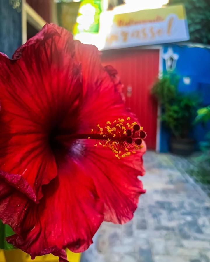 Pousada Girassol Morro de São Paulo Buitenkant foto